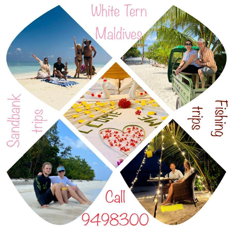 Hotel White Tern Maldives Maamigili Exteriér fotografie